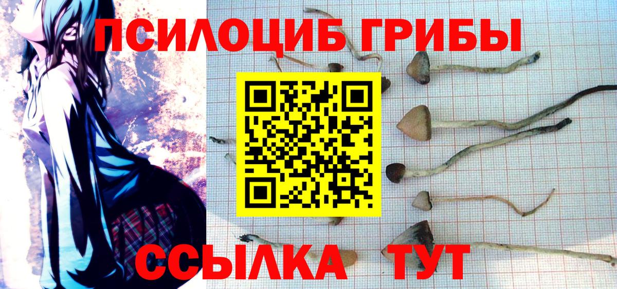 Зеленокумск  Галлюциногенные грибы мицелий  Вход с VPN 